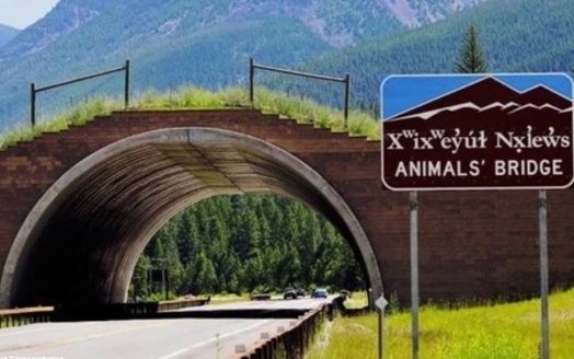 The Confederated Salish and Kootenai Tribes were involved in creating a wildlife crossing over U.S. Highway 93 in Montana. (Montana Department of Transportation)