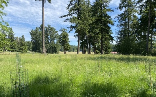 Puget Sound Agrarian Commons started in 2020 after a gift of land from Caroline Gardener on Whidbey Island. (Northwest Meadowscapes)