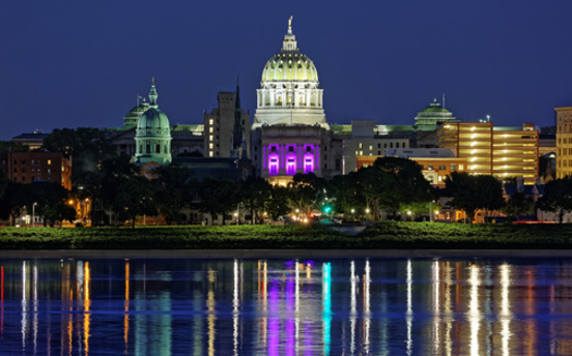 Pennsylvania's population grew by only 2.4% in the last decade, and so the state will lose a U.S. House seat in Congress. (Adobe Stock)