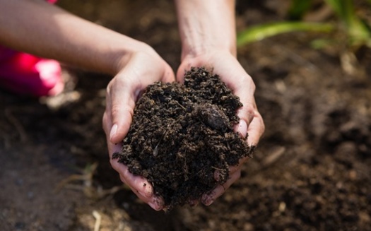 Many of Illinois' soil and water conservation priorities are laid out in the Nutrient Loss Reduction Strategy, which was released in 2015. (Adobe Stock)