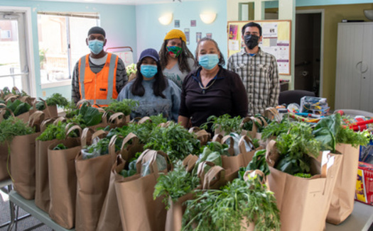 Urban Tilth distributes bags of produce in parts in the Richmond area, which is considered a 