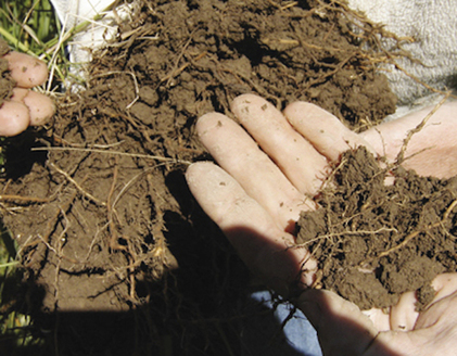 The New Mexico Department of Agriculture allows state residents who qualify for a refund on their personal income tax return to donate all or part of it to the Healthy Soil Program enacted in 2019. (aces.nmsu.edu)