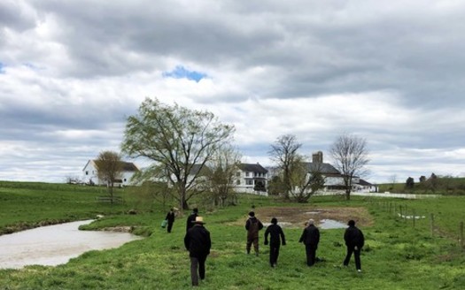 Federal investments in the Pequea Creek Watershed in Lancaster and Chester counties will help keep soils and nutrients from becoming runoff, with such practices as cover crops, no-till farming and riparian buffers. (Brian Gish/Chesapeake Bay Foundation)