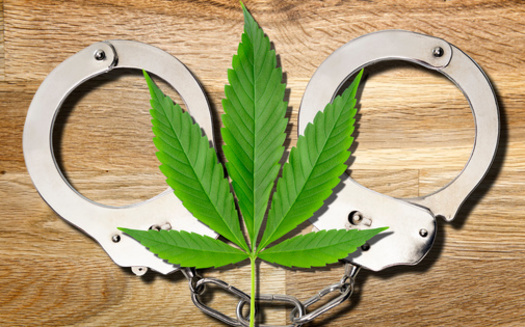 Supporters of a South Dakota bill to remove petty marijuana convictions from a person's criminal background check have noted that a majority of arrests involve young adults, and that a single offense can hurt their ability to eventually get a job. (Adobe Stock)