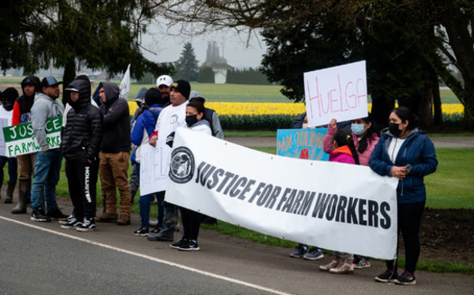Visitors to the Skagit Valley Tulip Festival in April might also notice workers with picket signs, protesting working conditions in the tulip fields. (Community to Community Development)