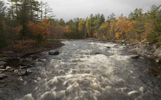 The Penobscot River is one of the ancestral rivers in which the Penobscot Nation has fought to keep water rights. (kellyvandellen/Adobe Stock)