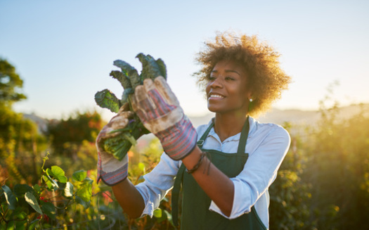According to the most recent data from the USDA, there were only 1,865 farmers of color in Virginia as of 2017, about 4% of the state's total. (Adobe Stock)