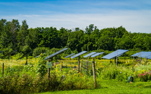 Farms still can function with the installation of solar panels on their land. (vermontalm/Adobe Stock)