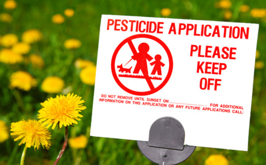 If a homeowner selects to be excluded from chemical sprays, they must agree to maintain their yard to the HOA's common standard, according to nonprofit Beyond Toxics. (Adobe Stock)