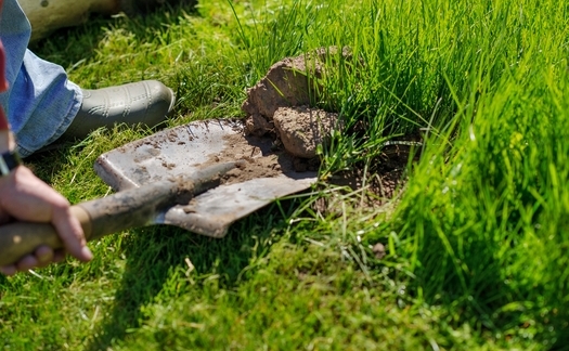 A program by the Utah Division of Water Services is showing residents how to save water by digging up thirsty plants on park strips and lawns and replacing them with drought-resistant species. (alexin21/adobe Stock)