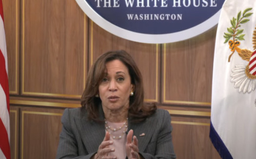In Missouri, no health insurance -- not even private policies -- can be used for abortions. Vice President Kamala Harris joined providers Thursday to discuss the next steps. (The White House)