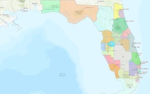 Gov. Ron DeSantis filed a new congressional map ahead of Florida's special session seeking to redraw the state's district lines. (Florida Legislature)