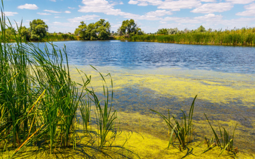 Aside from health risks, environmental officials say harmful algae blooms pose a threat to Iowa's water recreation industry. When beaches and other access points are temporarily shut down, it discourages plans for boating or swimming. (Adobe Stock)
