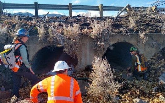 Caltrans workers inspect a culvert designed to allow wildlife to pass safely underneath the highway. (Caltrans)