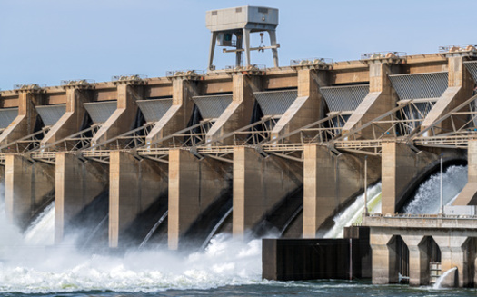 Salmon on the Snake River continue to struggle, despite actions like spilling more water at the river's dams. (davidrh/Adobe Stock)