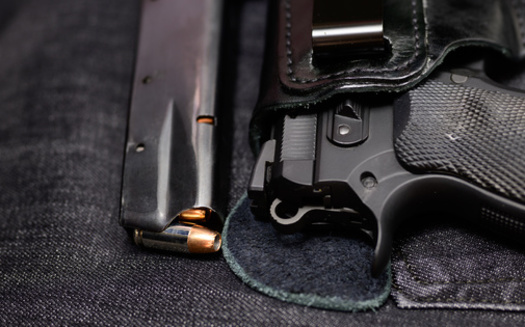 The advocacy group Everytown for Gun Safety ranks Indiana 25th in the nation in terms of the strength of its gun-control policies. (Adobe Stock) 
