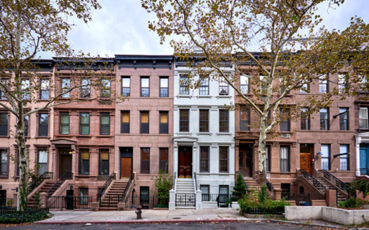 Research has shown that tree canopy and urban forests can help cities retain storm water, provide habitat for animals, reduce summer temperatures and store greenhouse gases. (Adobe Stock)