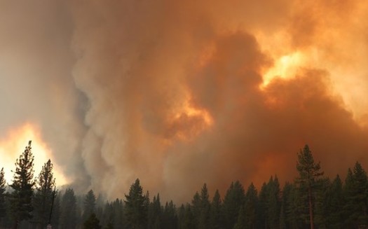 Massive plumes of smoke rise from the Tamarack Fire, Nevada's largest conflagration of 2021. (U.S. Forest Service)