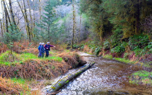 The Yaquina River is located on the central Oregon coast, meeting the Pacific Ocean near Newport. (Bobby Hayden)