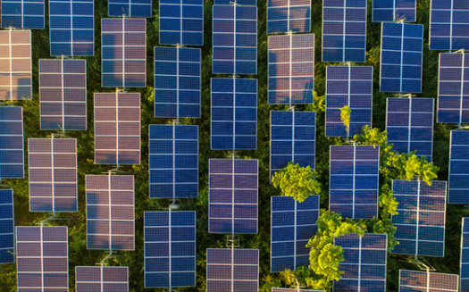 One of the Consumers Energy goals is to tap 8,000 megawatts of solar power by 2040. (Adobe Stock)