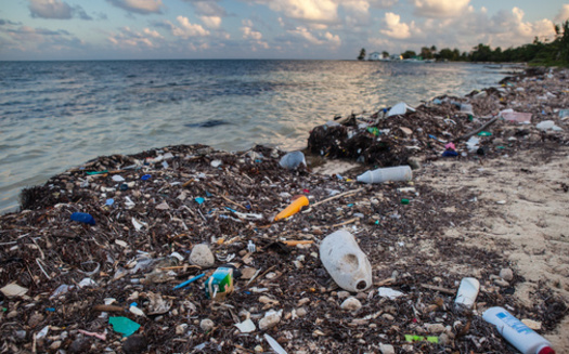 The United States generates more plastic waste than any other country, according to a report from The Pew Charitable Trusts. (EAD72/Adobe Stock)