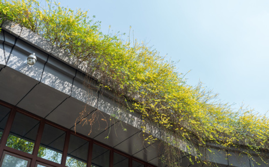 Green roofs can help address stormwater runoff concerns such as flooding. In recent years, hurricanes, tropical storms and increased heavy rainfall have hit Marylanders with extensive<br />flooding problems. (Adobe Stock)