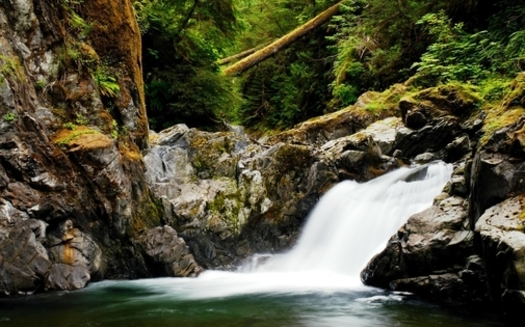 The Sams River on the Olympic Peninsula is among the rivers that would be protected by legislation in Congress. (Javin Elliff)