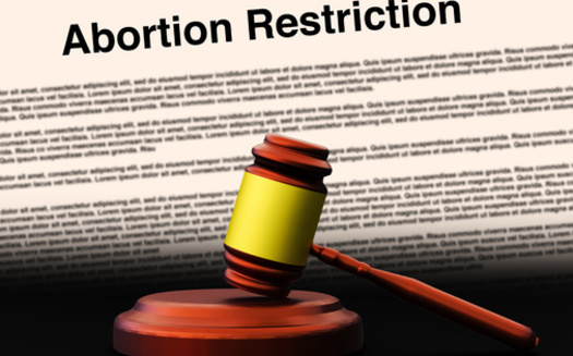 South Dakota was one of nearly a dozen states that had so-called trigger bans on abortions ready to take place in the event of federal protections being overturned. (Adobe Stock)