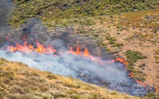 Parts of Montana will see above-average fire activity in August and September, according to the National Interagency Fire Center's predictions. (Andy Dean/Adobe Stock)