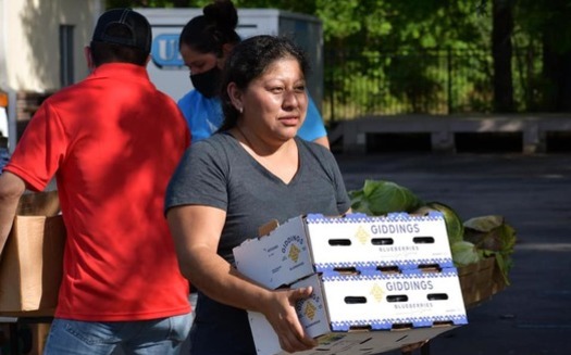 Farmworker families in Apopka benefit from a food distribution hosted by the Farmworker Association of Florida. (Yesica Ramirez)