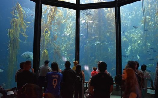 The Monterey Bay Aquarium hosts an event today (Monday) as part of Latino Conservation Week, one of dozens of activities planned statewide. (Fastily/Wikimedia Commons)