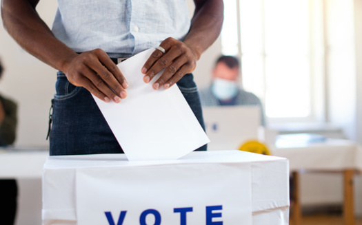 Michigan does not allow split-ticket voting in the primary election. (Adobe Stock)