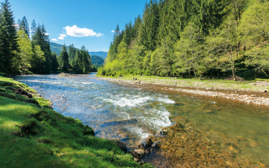 Around 58% of waterways were rated poor for conditions related to chemical stressors such as phosphorus, nitrogen, salinity and acidification, according to the latest assessment of the nation's rivers and streams by the Environmental Protection Agency. (Adobe Stock)