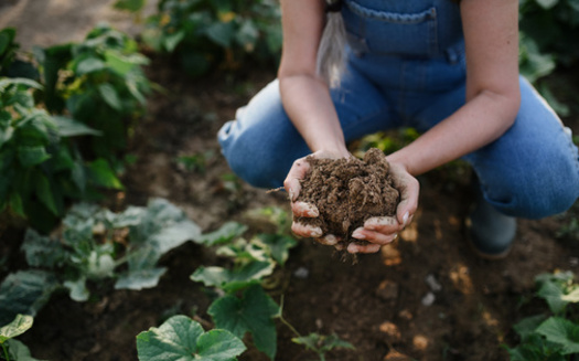 Farmers face startup costs to diversify their crop rotations, but experts say the move can mean lower overall costs over the long run. (Adobe Stock)