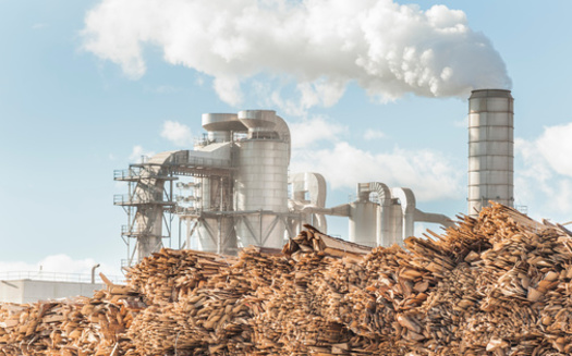 Much like coal and oil, woody biomass is a carbon-burning form of energy production that emits carbon dioxide. (Adobe Stock)