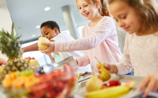 According to recent USDA 'Farm to School' Census data, Minnesota schools that responded reported spending 13% of their budgets on local products. (Adobe Stock)