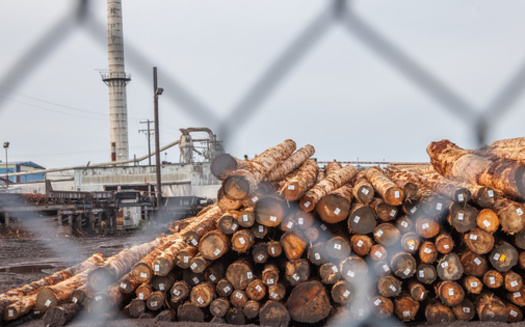 The timber industry has nearly disappeared in Washington state in the past three decades, creating challenges for communities. (Leslie C Saber/Adobe Stock)