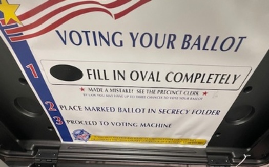 To be a poll worker, you have to be a citizen of the United States and a registered voter of the county in which you plan to work. (Trimmel Gomes)
