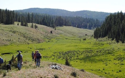 Since 2019, volunteers have helped complete a watershed restoration project in Midnight Meadows, located in New Mexico's Carson National Forest. (amigosbravos.org)