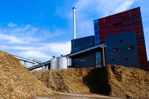 According to a study by the Center for Biological Diversity, woody biomass energy generation in California emits almost four times the carbon pollution of gas-generated power. (Adobe Stock)<br />