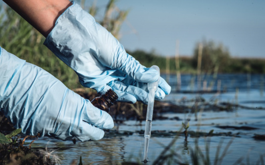 Concerning levels of PFAS have been discovered in the environment, water and wildlife of the Great Lakes region. (Adobe Stock)