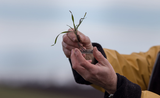 in the late 1800s, the U.S. Department of Agriculture began sending 