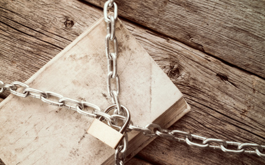 Total book challenges in 2022 are on pace to exceed the 2021 record. (Adobe Stock)