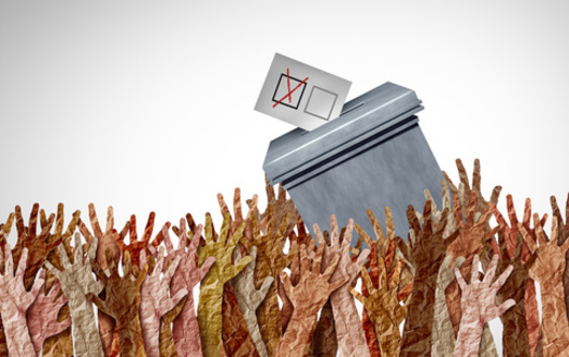 None of Nebraska's five members of Congress earned a perfect or even near-perfect score on this year's Democracy Scorecard. (Adobe Stock)