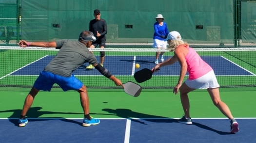 Pickleball, one of the events at this weekend's Virginia Senior Games, has become one of the fastest-growing sports in the country, according to Forbes magazine. (Bob/Adobe Stock)