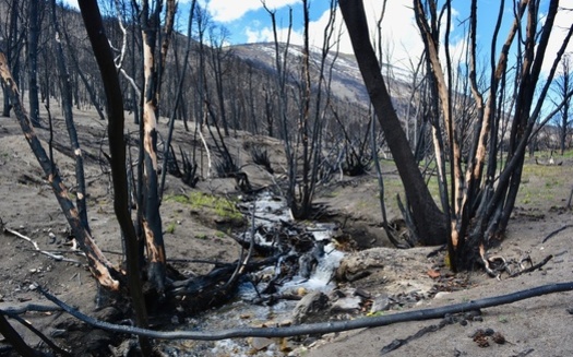 Researchers warn that as climate change increases wildfire areas in snow zones throughout the West, the wildfire influence on the snowpack also will grow. (Adobe Stock)