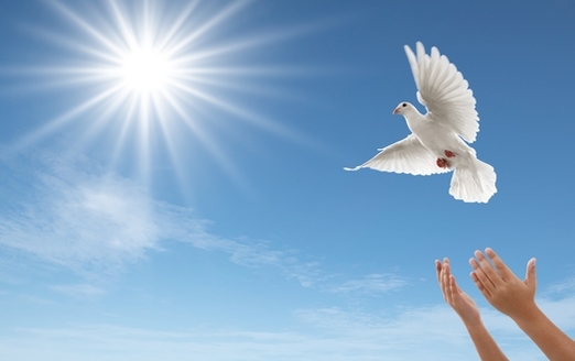 The five prize-winners at Saturday's Midland Day of Peace festival will each release a dove to signify the value of peacemaking. (Okea/Adobe Stock)