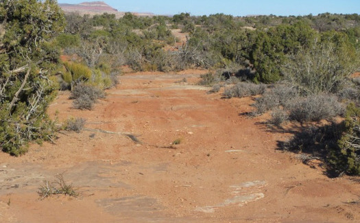 Fans of solitude say the route density in Labyrinth Canyon can make it difficult to escape the noise of motorized vehicles. (Bureau of Land Management)  