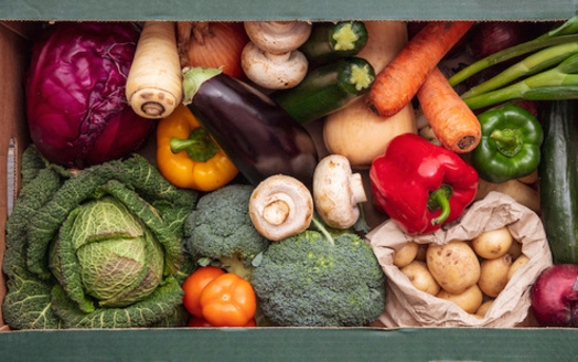 According to Feeding Kentucky, 70% of Kentucky households that are receiving SNAP have children, and 40% of them have an elderly person or someone living with a disability. (Adobe Stock)