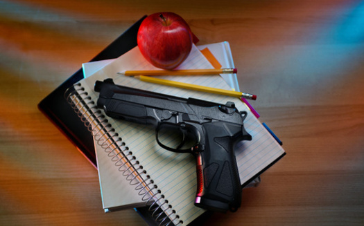 So far in 2022, there have been 558 mass shooting incidents in the United States, including two in Iowa, according to the Gun Violence Archive. They are categorized as 